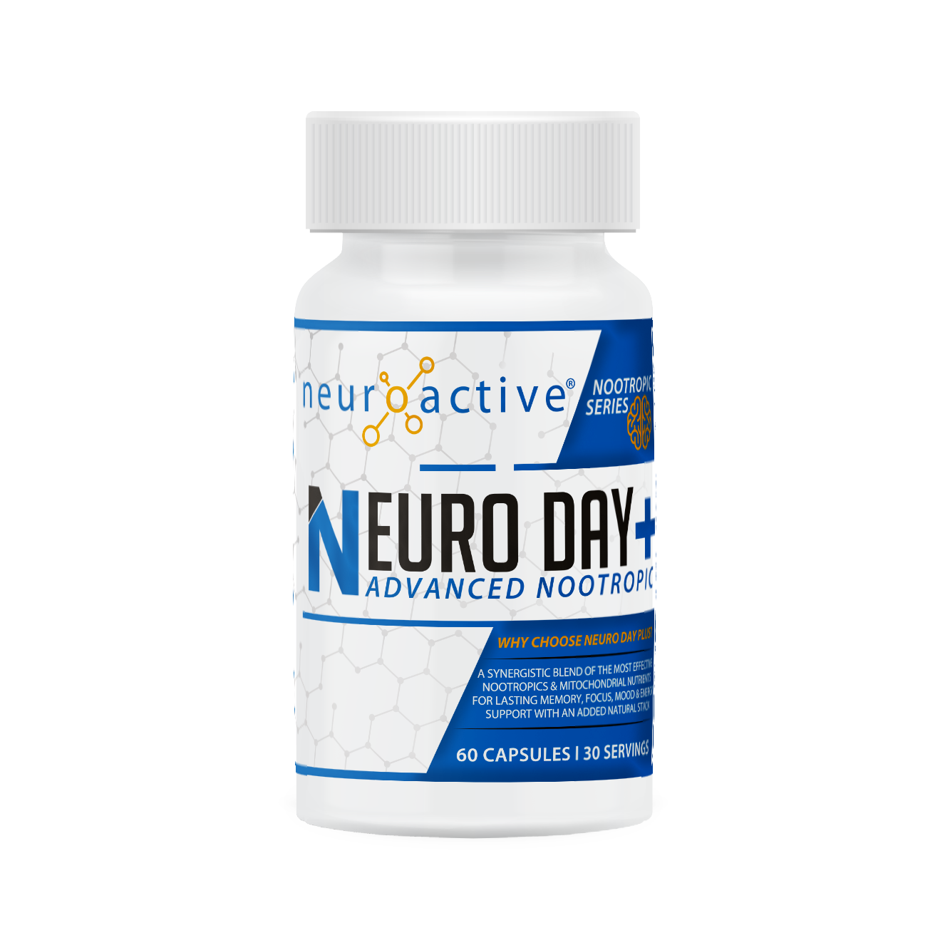 Neuro Day + NeuroActive