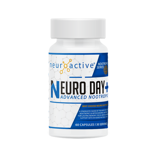 Neuro Day + NeuroActive